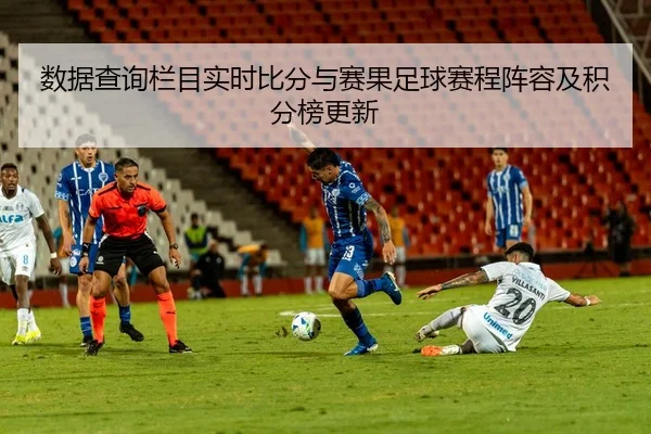 数据查询栏目实时比分与赛果足球赛程阵容及积分榜更新